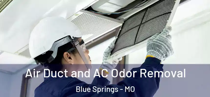 Air Duct and AC Odor Removal Blue Springs - MO