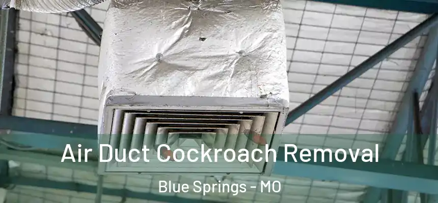Air Duct Cockroach Removal Blue Springs - MO