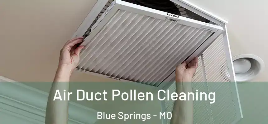 Air Duct Pollen Cleaning Blue Springs - MO