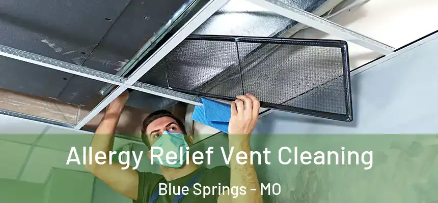 Allergy Relief Vent Cleaning Blue Springs - MO