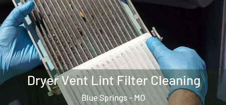 Dryer Vent Lint Filter Cleaning Blue Springs - MO