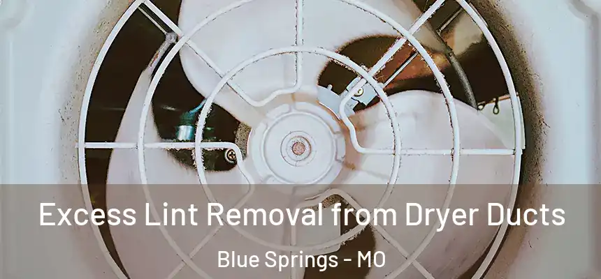 Excess Lint Removal from Dryer Ducts Blue Springs - MO