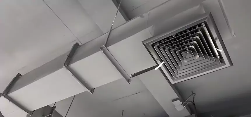 Our Pest Removal From Ducts Services in Blue Springs, MO