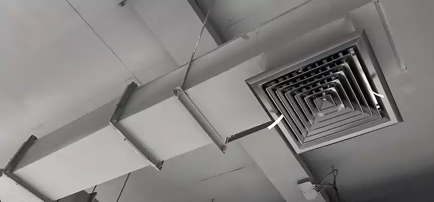 Our Rodent Droppings In Vents Services in Blue Springs, MO