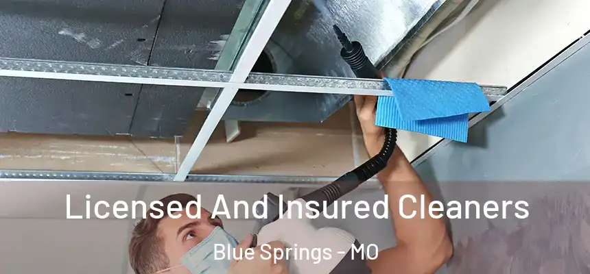 Licensed And Insured Cleaners Blue Springs - MO