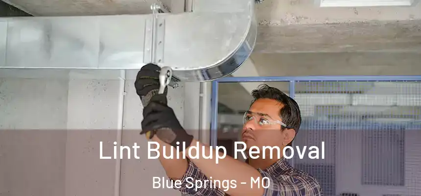 Lint Buildup Removal Blue Springs - MO