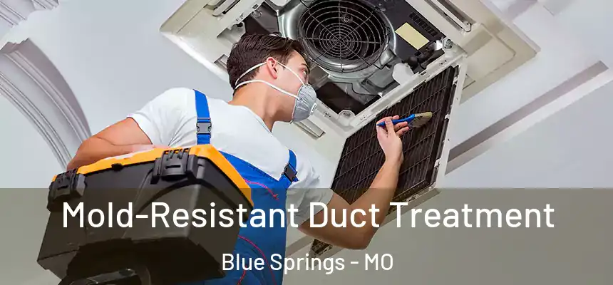 Mold-Resistant Duct Treatment Blue Springs - MO