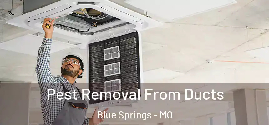 Pest Removal From Ducts Blue Springs - MO