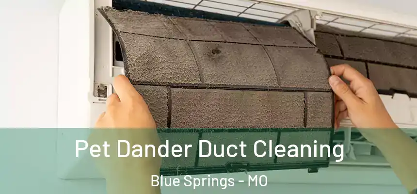 Pet Dander Duct Cleaning Blue Springs - MO