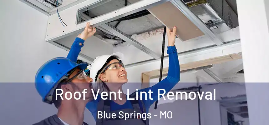 Roof Vent Lint Removal Blue Springs - MO