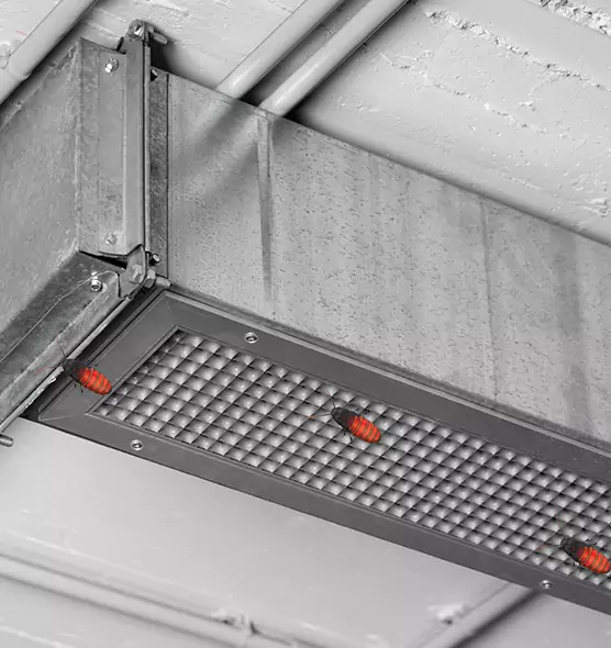 About Air Duct Cockroach Removal in Blue Springs, MO