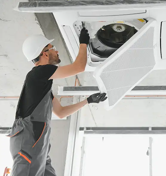 About Air Duct Rodent Removal in Blue Springs, MO