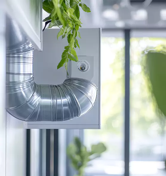 Professional Eco-Safe Dryer Vent Cleaning in Blue Springs, MO