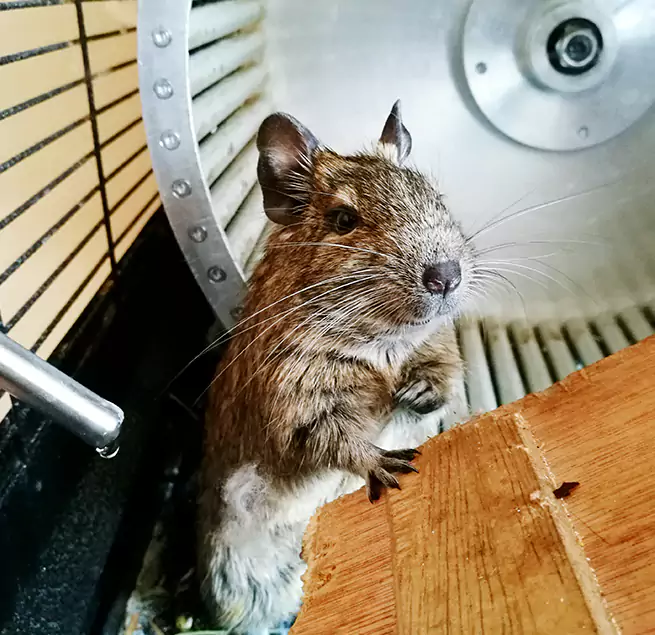 Why Homeowners & Businesses Trust Us Blue Springs, MO?