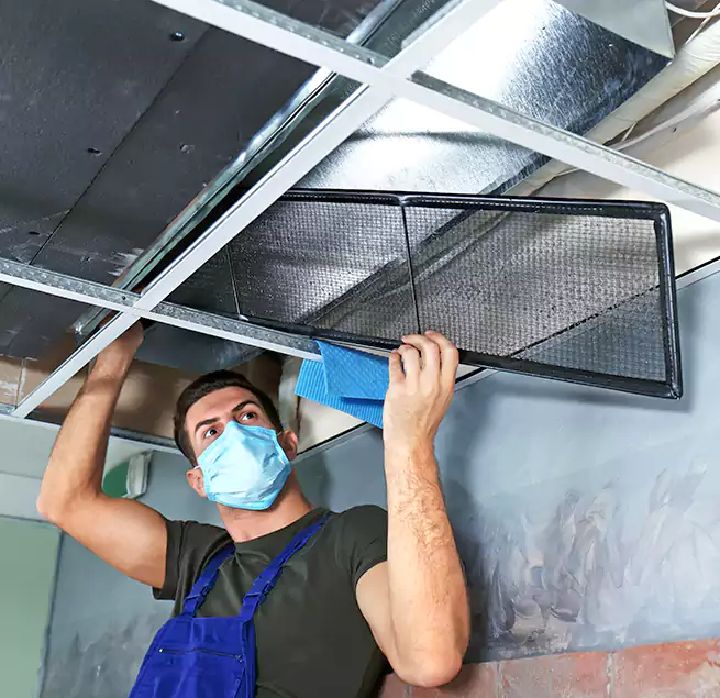 Why Homeowners Businesses Trust Us in Blue Springs, MO