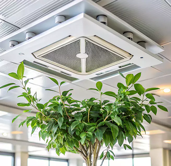 Why Homeowners & Businesses Trust Us in Blue Springs, MO?