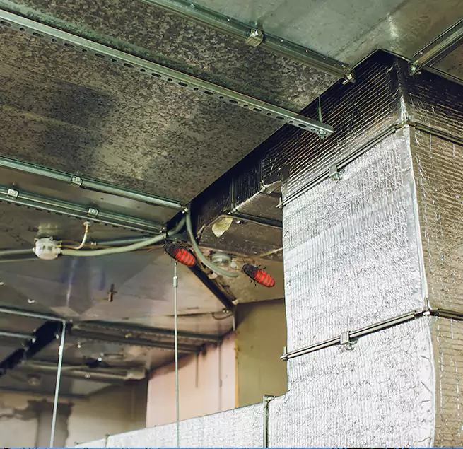 Why Homeowners & Businesses Trust Us Blue Springs, MO?