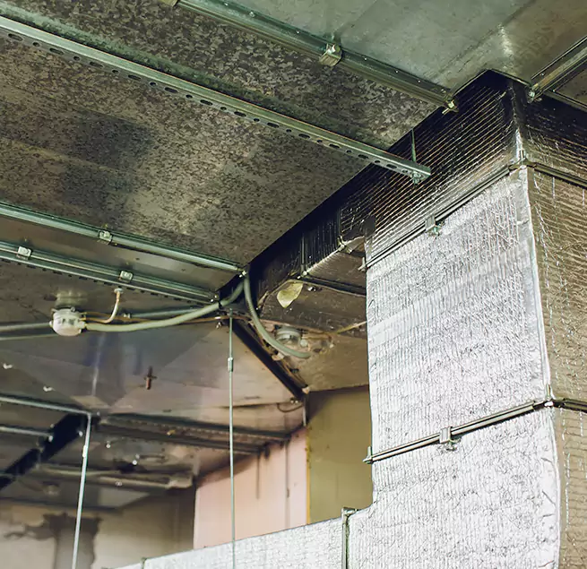 Why Homeowners & Businesses Trust Us in Blue Springs, MO?