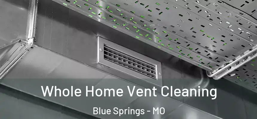 Whole Home Vent Cleaning Blue Springs - MO